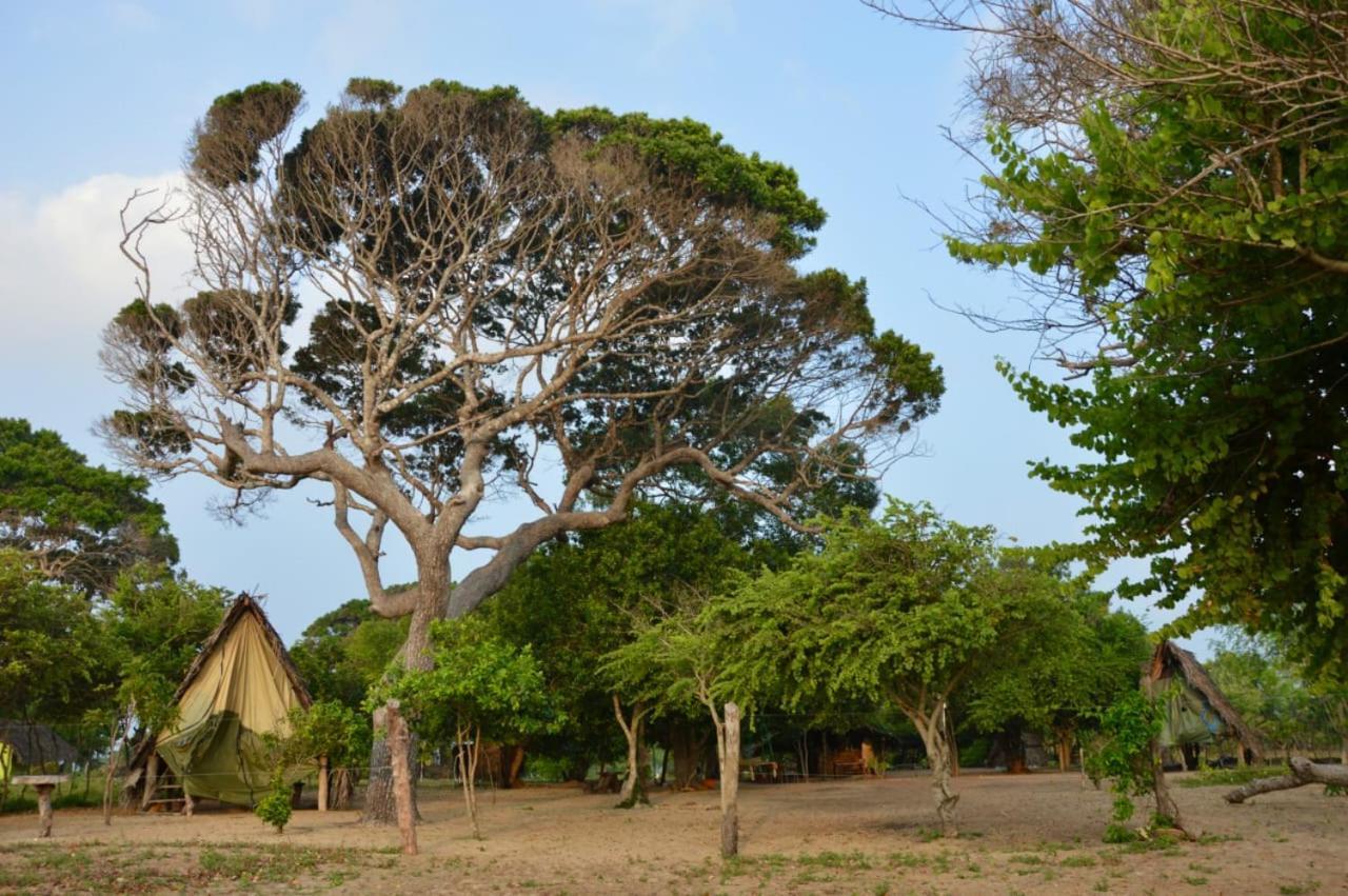 Surfing Lion Hostel Arugam Bay Exterior photo