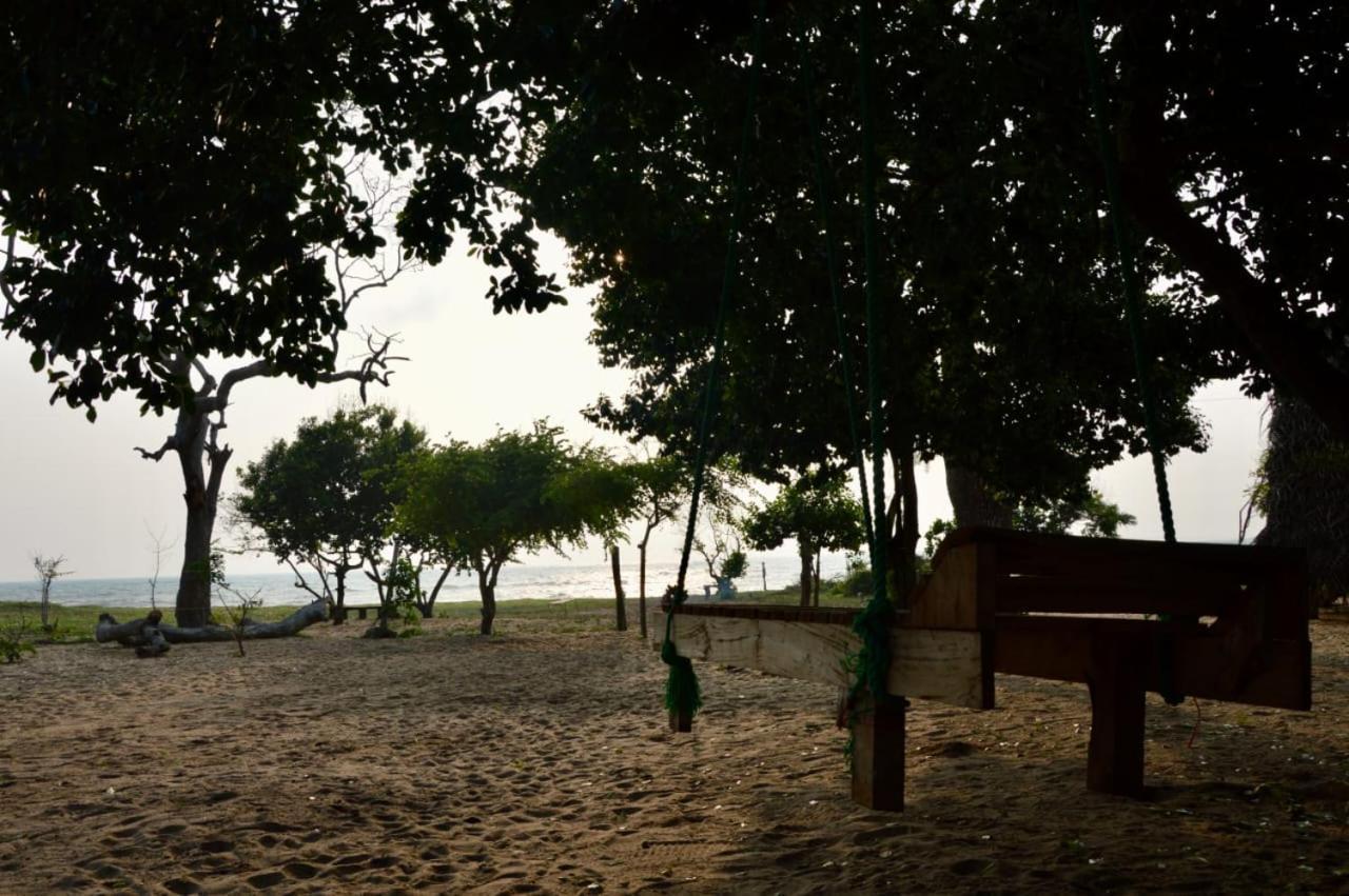 Surfing Lion Hostel Arugam Bay Exterior photo