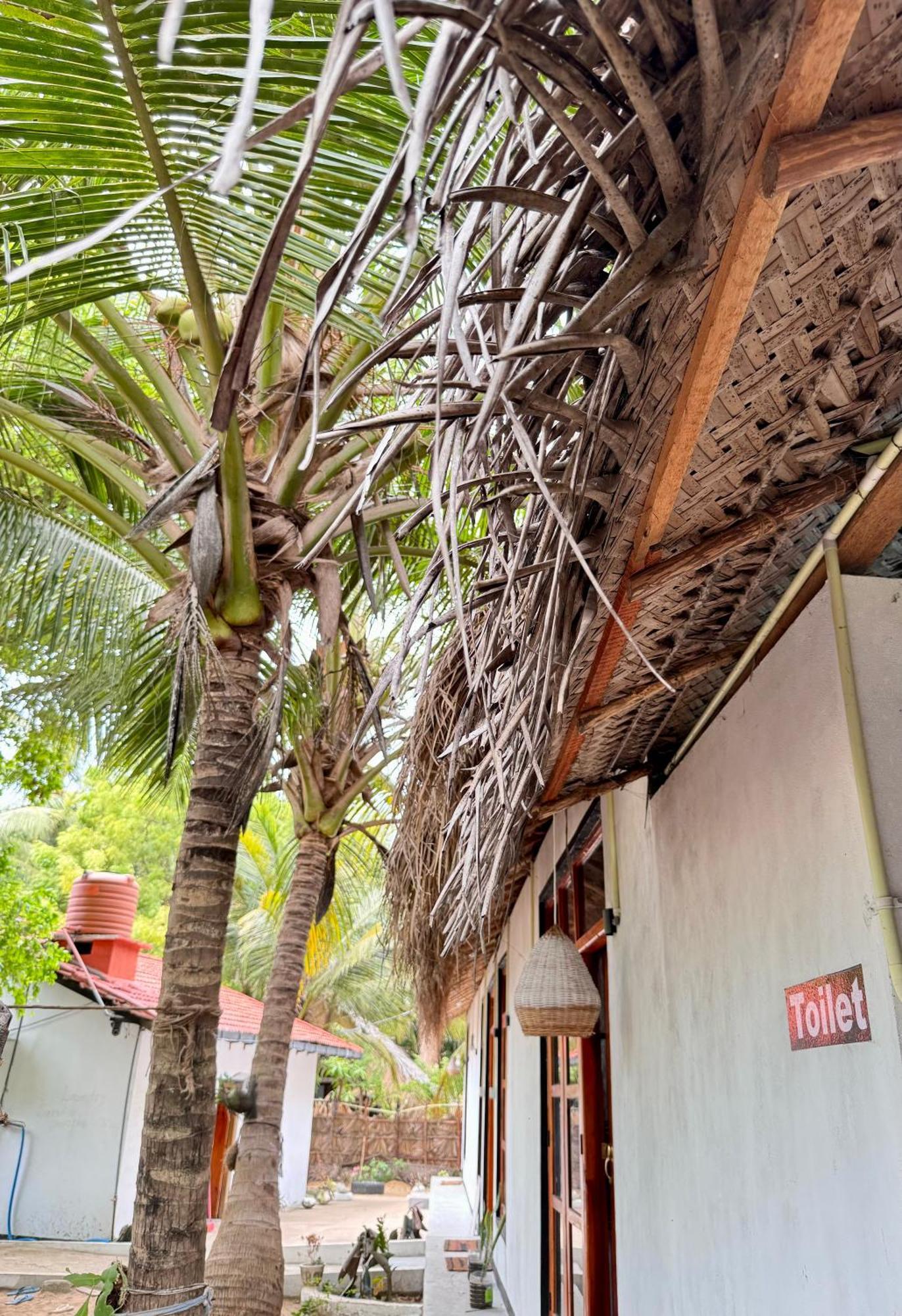 Surfing Lion Hostel Arugam Bay Exterior photo