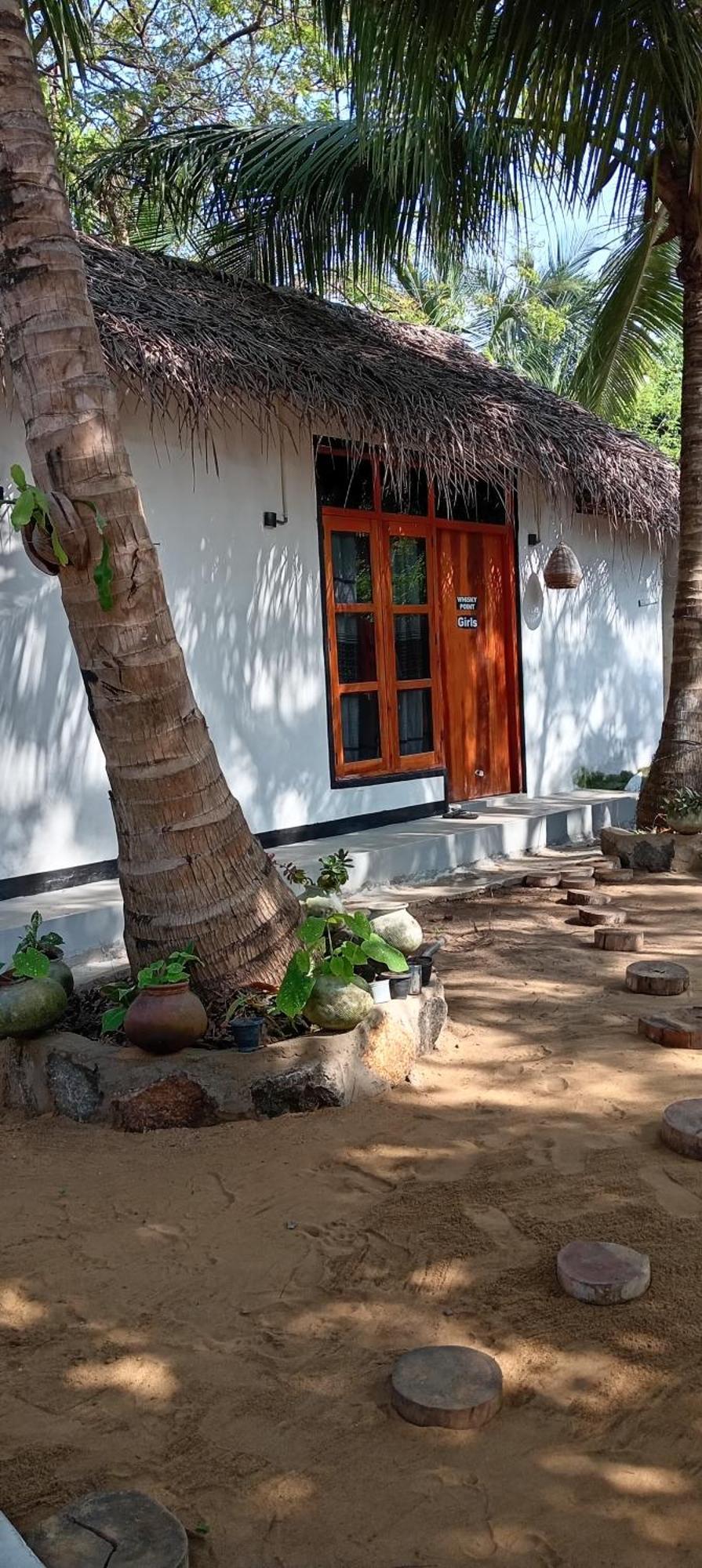 Surfing Lion Hostel Arugam Bay Exterior photo