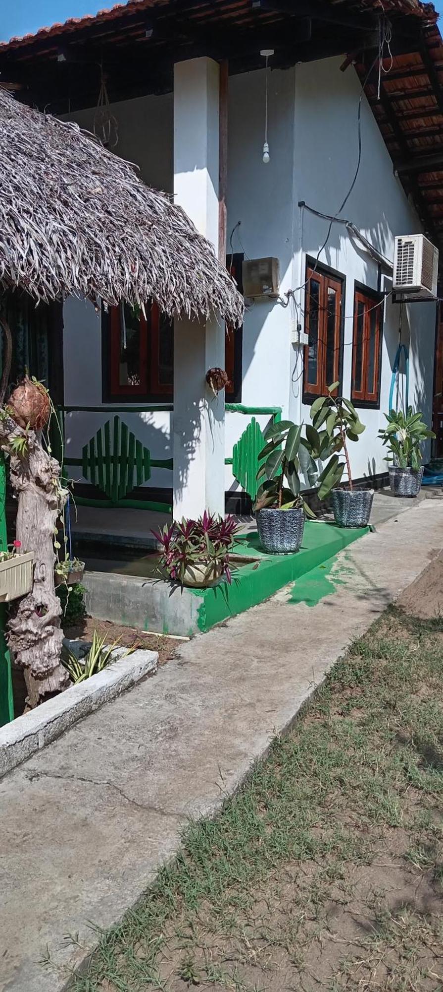 Surfing Lion Hostel Arugam Bay Exterior photo