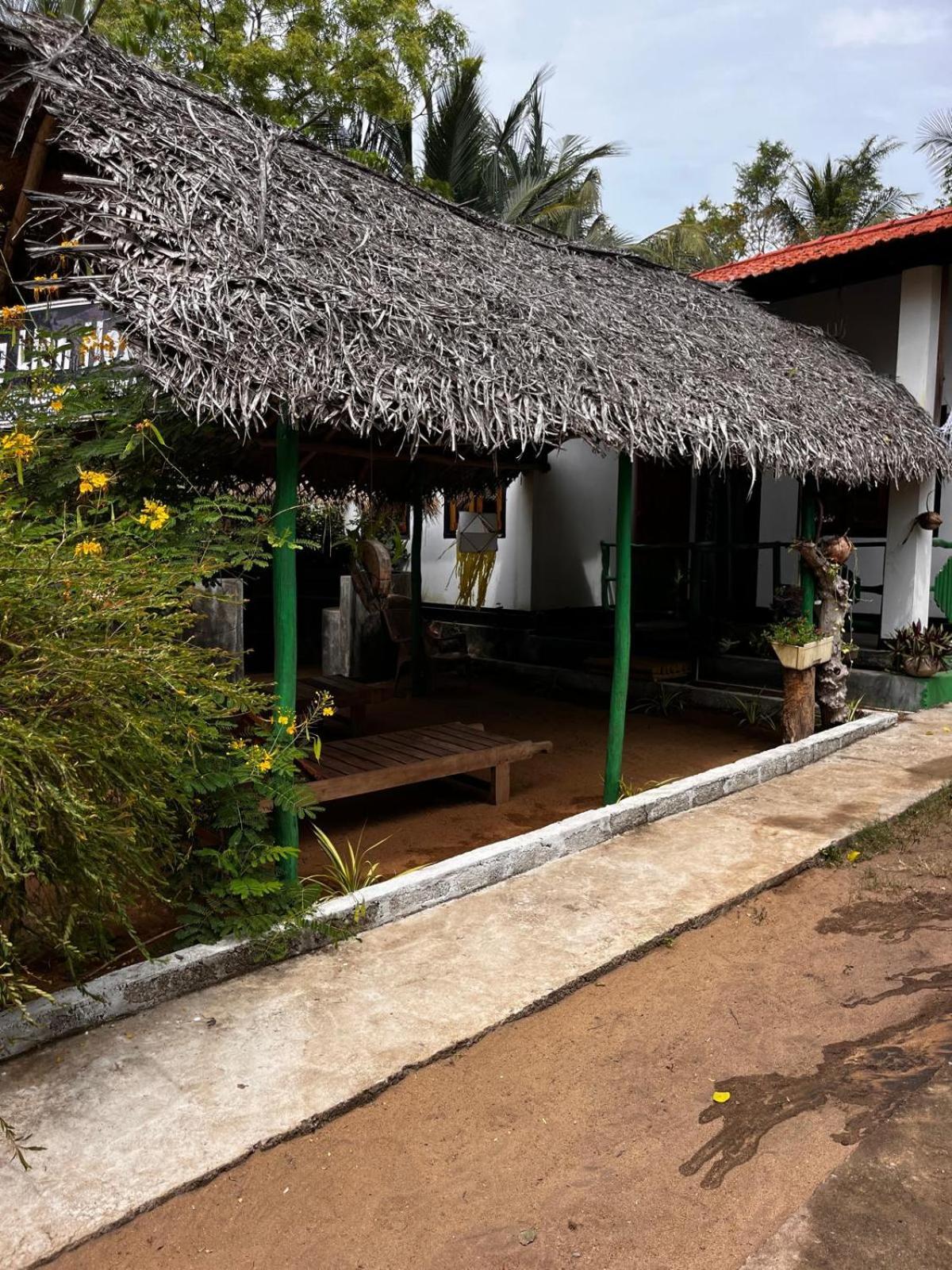 Surfing Lion Hostel Arugam Bay Exterior photo