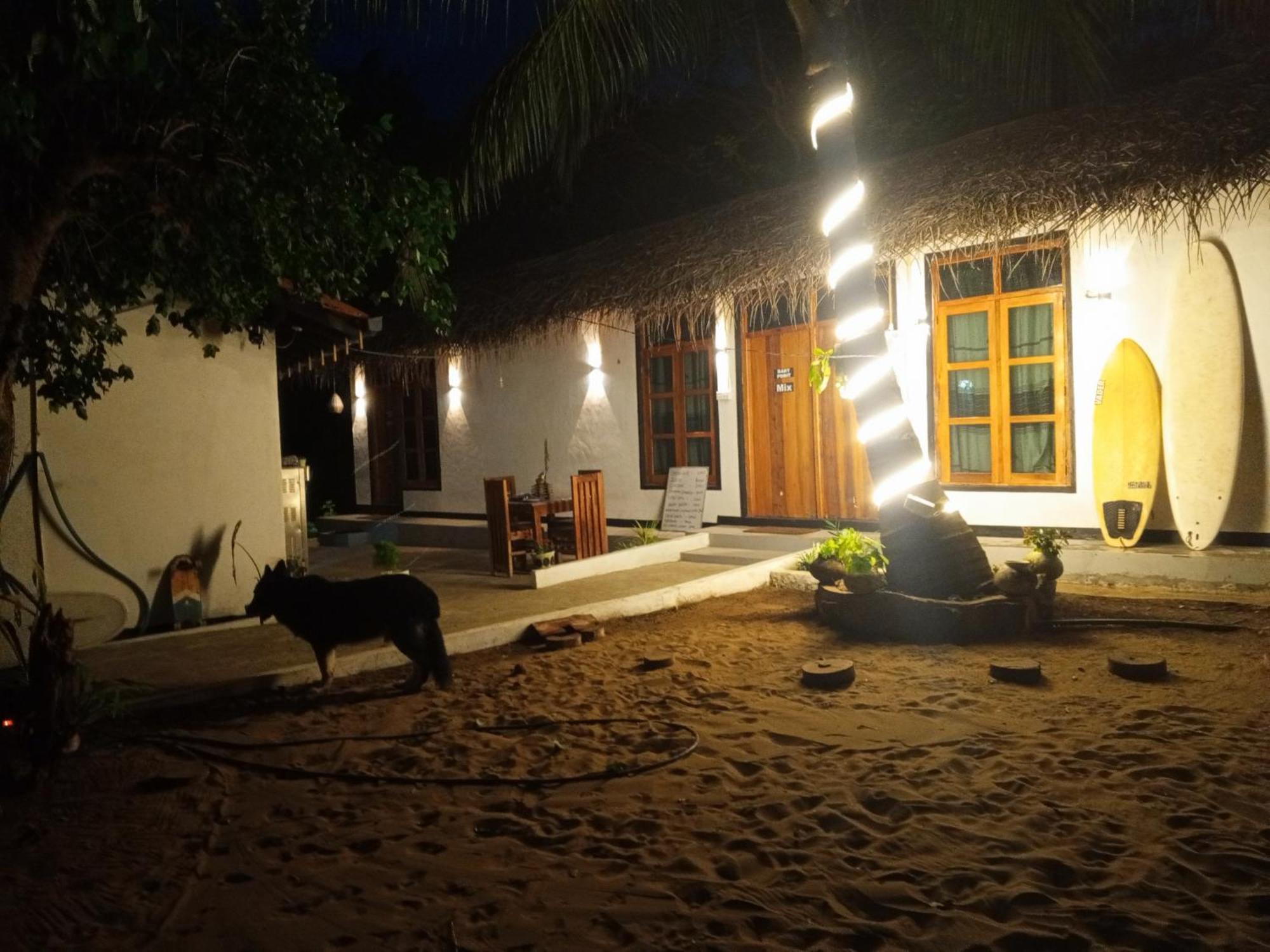 Surfing Lion Hostel Arugam Bay Exterior photo