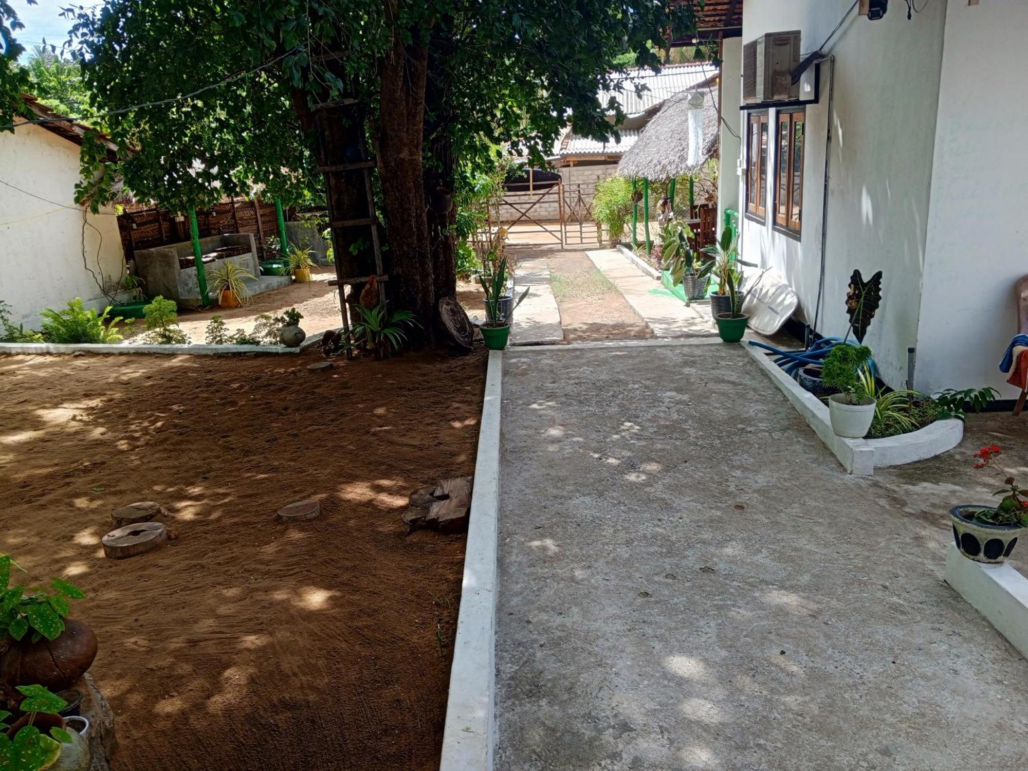Surfing Lion Hostel Arugam Bay Exterior photo
